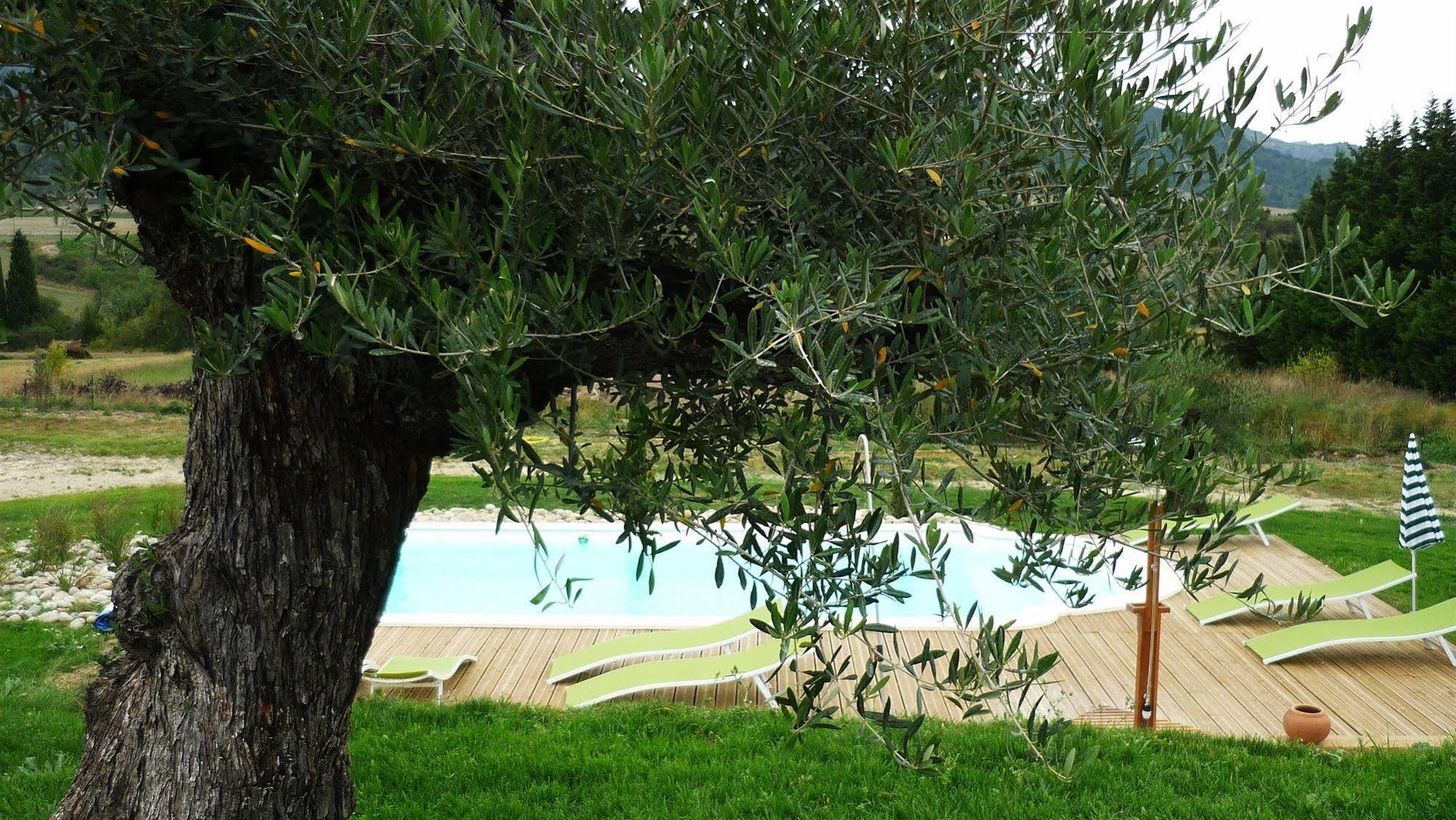 Bed and Breakfast Relais de l'alsou- jacuzzi chauffé piscine Labastide-en-Val Exterior foto